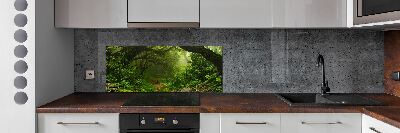 Crédence cuisine en verre Jungle au Népal