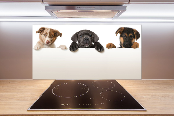 Crédence en verre cuisine Trois chiots