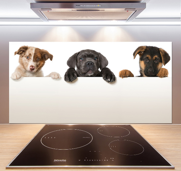 Crédence en verre cuisine Trois chiots