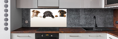 Crédence en verre cuisine Trois chiots