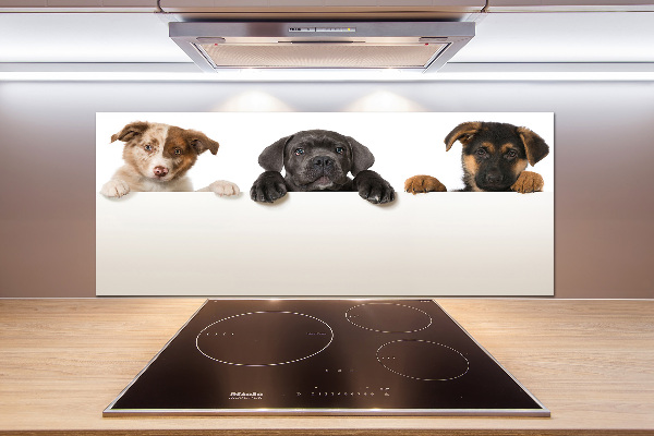 Crédence en verre cuisine Trois chiots