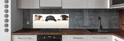 Crédence en verre cuisine Trois chiots