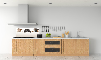 Crédence en verre cuisine Trois chiots