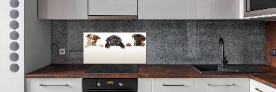 Crédence en verre cuisine Trois chiots