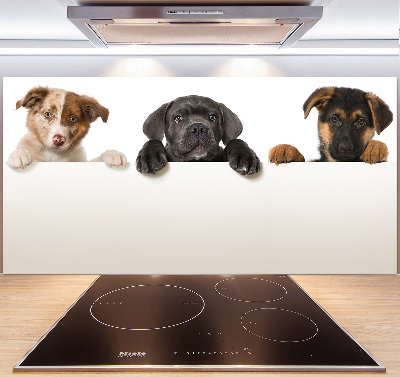 Crédence en verre cuisine Trois chiots