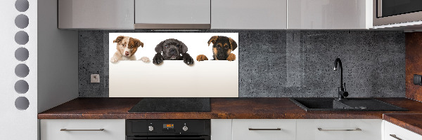 Crédence en verre cuisine Trois chiots