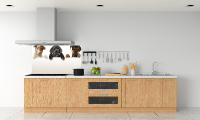 Crédence en verre cuisine Trois chiots