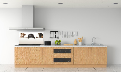 Crédence en verre cuisine Trois chiots