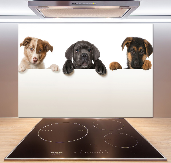 Crédence en verre cuisine Trois chiots