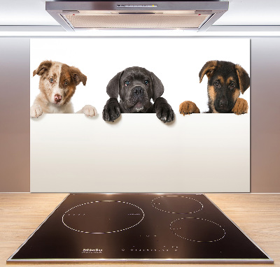 Crédence en verre cuisine Trois chiots