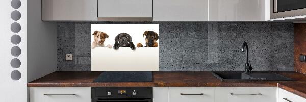 Crédence en verre cuisine Trois chiots