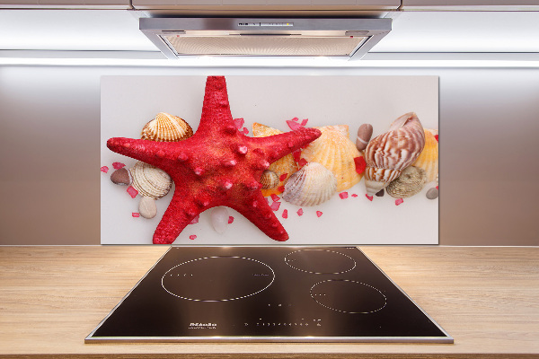 Panneau pour cuisine Étoile de mer et coquillages