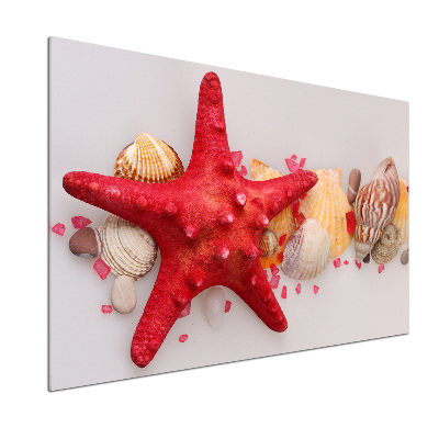 Panneau pour cuisine Étoile de mer et coquillages