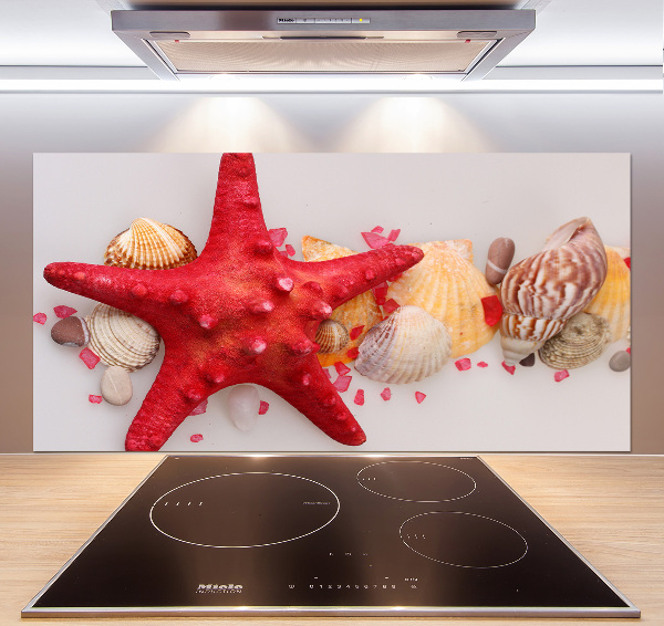 Panneau pour cuisine Étoile de mer et coquillages
