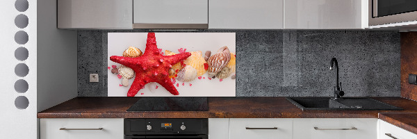 Panneau pour cuisine Étoile de mer et coquillages