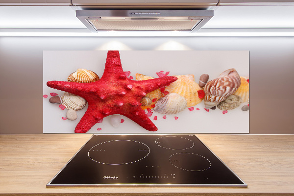 Panneau pour cuisine Étoile de mer et coquillages