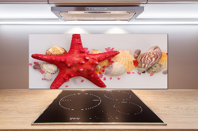 Panneau pour cuisine Étoile de mer et coquillages
