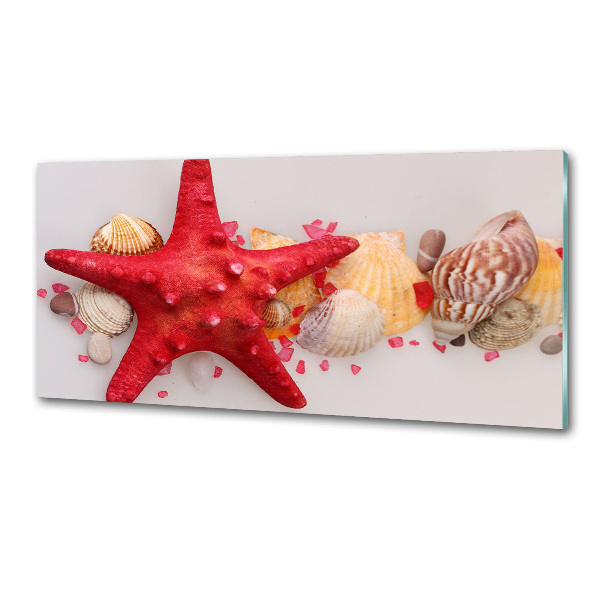 Panneau pour cuisine Étoile de mer et coquillages