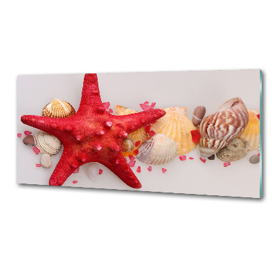 Panneau pour cuisine Étoile de mer et coquillages