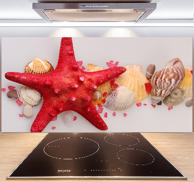 Panneau pour cuisine Étoile de mer et coquillages