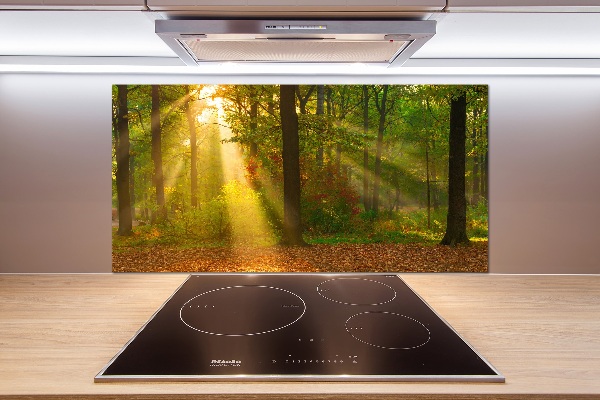 Crédence de cuisine Forêt au soleil