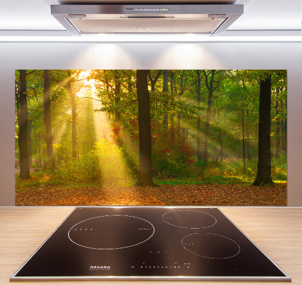 Crédence de cuisine Forêt au soleil