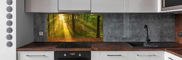 Crédence de cuisine Forêt au soleil
