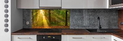 Crédence de cuisine Forêt au soleil