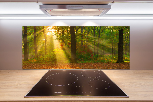 Crédence de cuisine Forêt au soleil