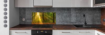 Crédence de cuisine Forêt au soleil