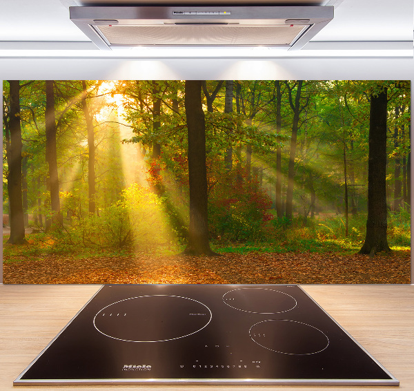 Crédence de cuisine Forêt au soleil