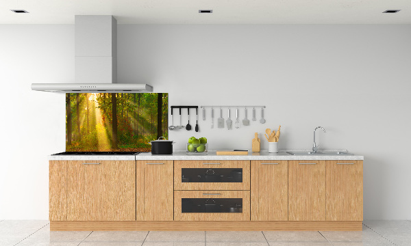 Crédence de cuisine Forêt au soleil