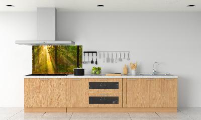 Crédence de cuisine Forêt au soleil