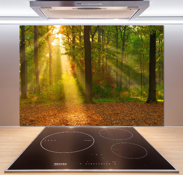 Crédence de cuisine Forêt au soleil