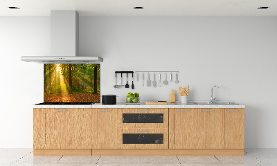 Crédence de cuisine Forêt au soleil