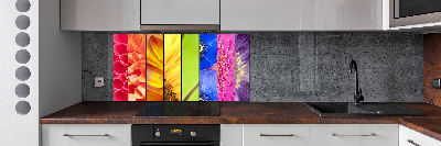 Panneau crédence cuisine Fleurs colorées