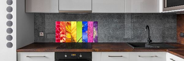 Panneau crédence cuisine Fleurs colorées