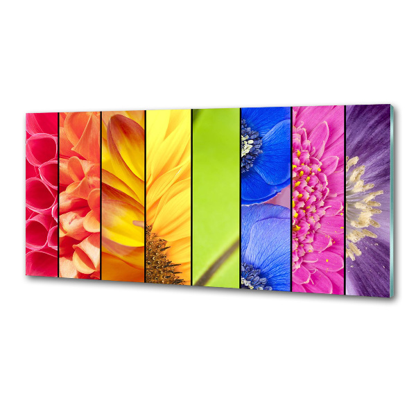 Panneau crédence cuisine Fleurs colorées