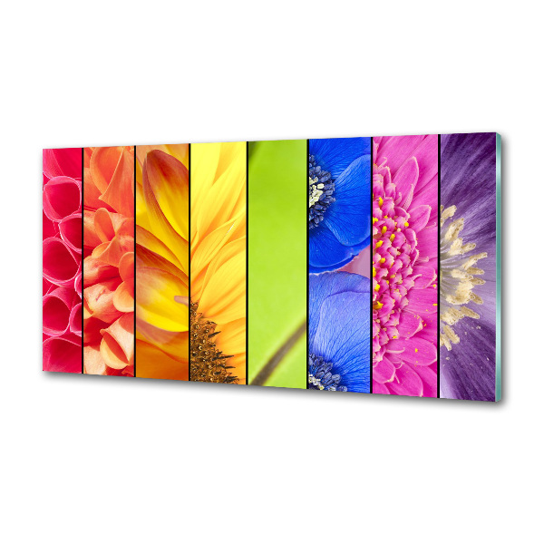Panneau crédence cuisine Fleurs colorées
