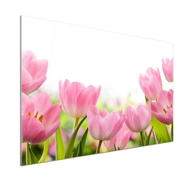 Crédence en verre avec motif Tulipes roses