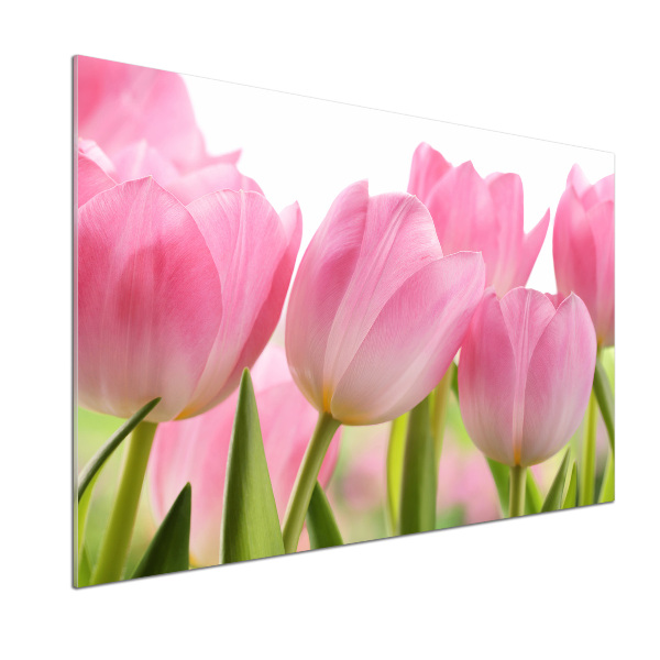 Panneau pour cuisine Tulipes roses