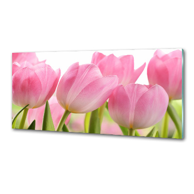 Panneau pour cuisine Tulipes roses