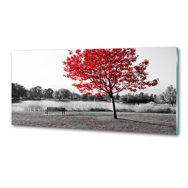 Panneau crédence cuisine Arbre rouge