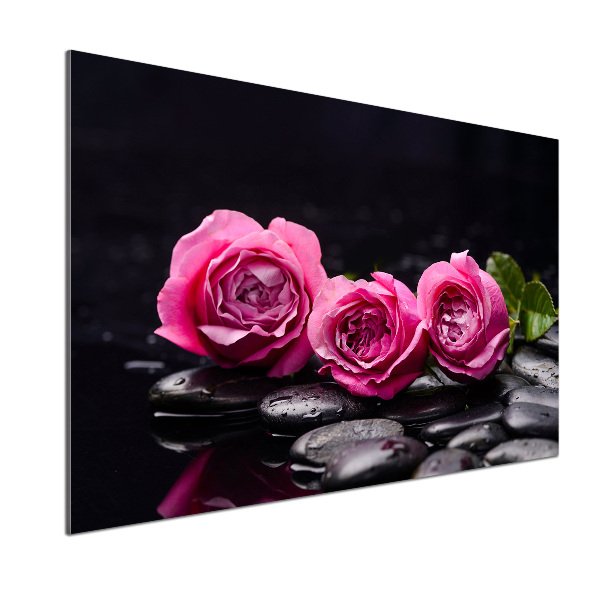 Panneau crédence cuisine Roses roses