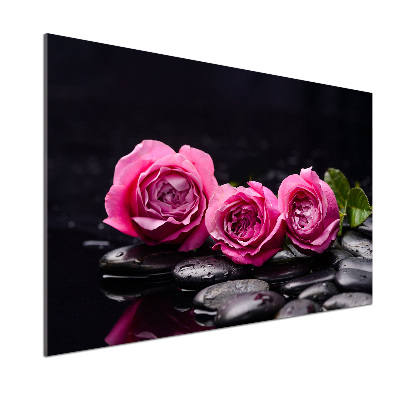 Panneau crédence cuisine Roses roses