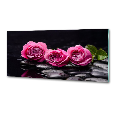Panneau crédence cuisine Roses roses