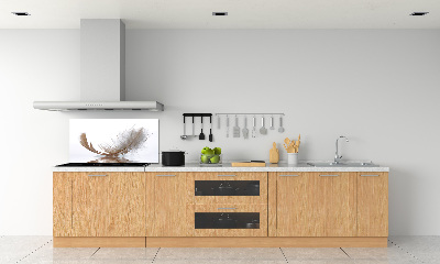 Panneau crédence cuisine Plume sur l'eau