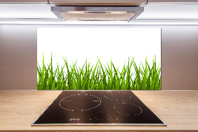 Crédence en verre cuisine Herbe