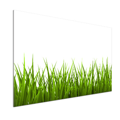 Crédence en verre cuisine Herbe