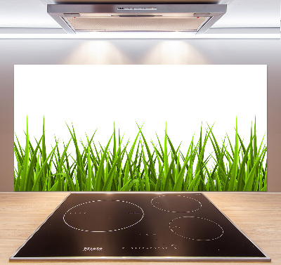 Crédence en verre cuisine Herbe